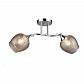 Потолочная люстра Milosh Tendence 0668CL-2CH - фото №1