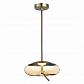 Подвесной светодиодный светильник ST Luce Ozzio SL6108.303.01 - фото №3