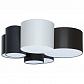Потолочный светильник TopDecor Family P2 10 01g/02g/06g/05g - фото №1
