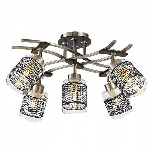 Спот Citilux Мерида CL142152