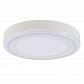 Потолочный светодиодный светильник Arte Lamp Antares A7824PL-2WH - фото №1
