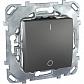 Выключатель одноклавишный 2P Schneider Electric Unica 16A 250V MGU5.262.12ZD - фото №1