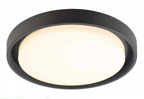 Уличный настенный светильник Deko-Light Ascella 348067