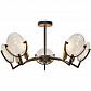 Потолочная люстра Toplight Roxana TL1194X-05BK - фото №1