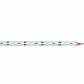 Светодиодная лента Uniel 19,2W/m 72LED/m 5630SMD холодный белый 2х1M ULS-L21X-5630-72LED/m-12mm-IP20-DC12V-19,2W/m-2х1M-DW UL-00002765 - фото №1