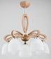 Потолочная люстра Alfa Gracja 27045 - фото №1