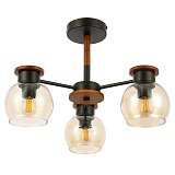 Потолочная люстра Evoluce Rasco SLE108102-03