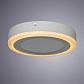 Потолочный светодиодный светильник Arte Lamp Antares A7816PL-2WH - фото №4
