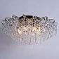 Потолочная люстра Arte Lamp Emilia A1660PL-8AB - фото №3