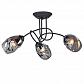Потолочная люстра Vitaluce V4939-1/3PL - фото №1