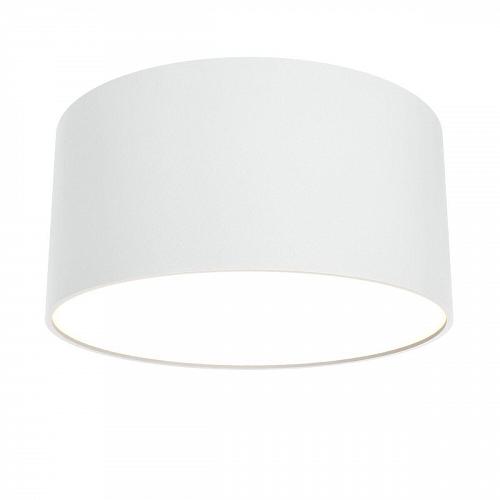 Потолочный светодиодный светильник Maytoni Technical Zon C032CL-L12W3K