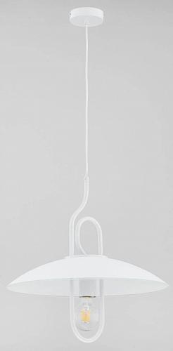 Подвесной светильник Alfa Astoria Chee 60625