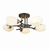 Люстра Wedo Light 66259.01.69.05