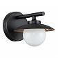 Бра Indigo Corazza 10015/1W Black V000283 - фото №2
