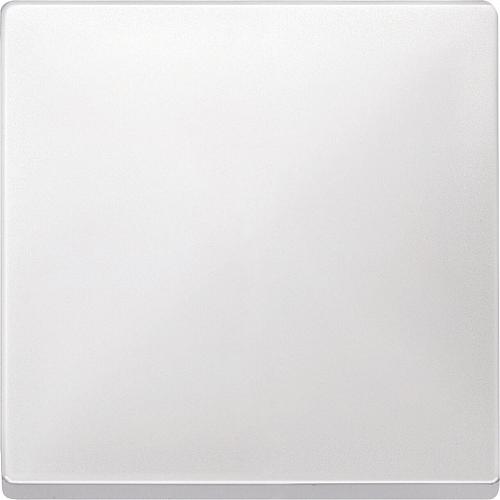 Клавиша одинарная Schneider Electric Merten Antique/Artec MTN412119