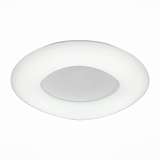 Светильник ST Luce SL960.572.01D
