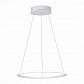 Подвесной светодиодный светильник ST Luce ST604.543.22 - фото №2