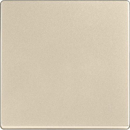 Лицевая панель Werkel выключателя перекрестного шампань WL11-SW-1G-C-CP 4690389124617