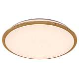 Светильник Citilux CL70362