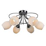 Потолочная люстра Omnilux Calevace OML-54307-06