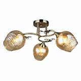 Люстра Wedo Light 66364.01.05.03