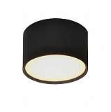 Потолочный светодиодный светильник Elvan NLS-2337-6W-WW-Bk