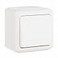 Переключатель одноклавишный на 2 направления Legrand Quteo 10A 250V IP44 белый 782304 - фото №1