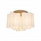 Потолочная люстра Lightstar Nubi Legno 802035 - фото №3