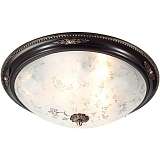 Потолочный светильник Lucia Tucci Lugo 142.6 R50 Brown