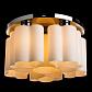 Потолочная люстра Arte Lamp 17 A3489PL-6CC - фото №2