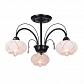 Потолочная люстра Toplight Roberta TL3700X-03BC - фото №1