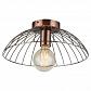 Потолочный светильник Lussole Loft Brooks LSP-8249 - фото №1