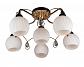 Потолочная люстра Omnilux OML-31907-06 - фото №1