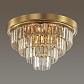 Потолочная люстра Lumion Classi Zaha 5257/6C - фото №3
