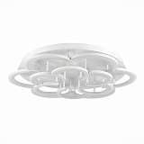 Потолочная светодиодная люстра Evoluce Bonn SLE200502-12