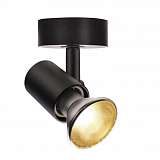 Спот SLV 1002072