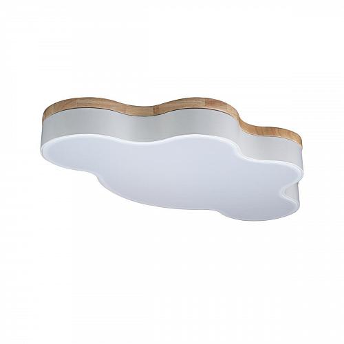 Потолочный светодиодный светильник Loft IT Axel 10005/36 white