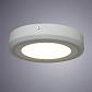 Потолочный светодиодный светильник Arte Lamp Antares A7816PL-2WH - фото №3