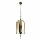 Подвесная люстра Odeon Light Bell 4892/3 - фото №1