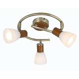 Спот Globo 54353-3