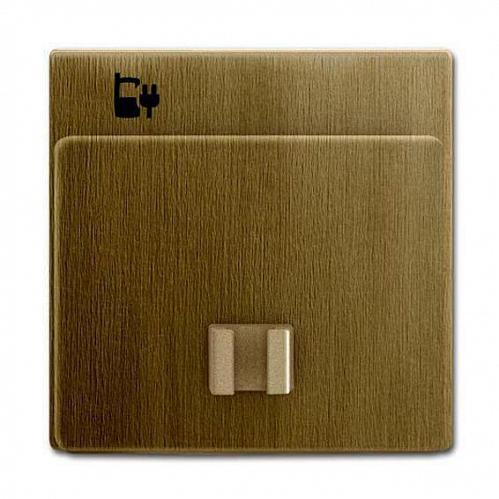 Лицевая панель ABB Dynasty розетки USB латунь античная 2CKA006400A0036