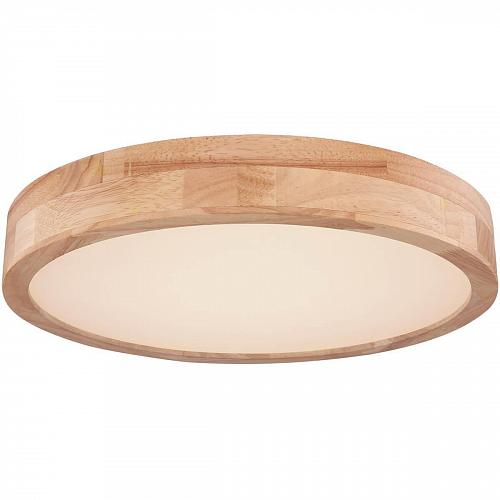 Потолочный светодиодный светильник Globo Rainer 41745-24