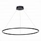 Подвесной светодиодный светильник ST Luce ST605.443.46 - фото №1