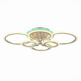 Потолочная светодиодная люстра Evoled Cerina SLE500592-06RGB