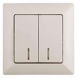 Выключатель двухклавишный ЭРА Intro Solo 10A 250V с подсветкой слоновая кость 4-105-02 Б0043292