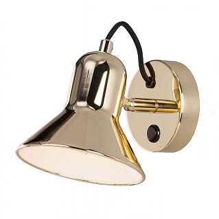 Споты с одним плафоном с золотистой поверхностью