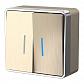 Выключатель двухклавишный с подсветкой Werkel Gallant шампань рифленый W5020110 4690389164200 - фото №1
