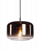 Светильник SLV 1003007