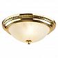 Потолочный светильник Arte Lamp 28 A3013PL-2GO - фото №4