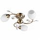Потолочная люстра Toplight Katrina TL3590X-03AB - фото №1